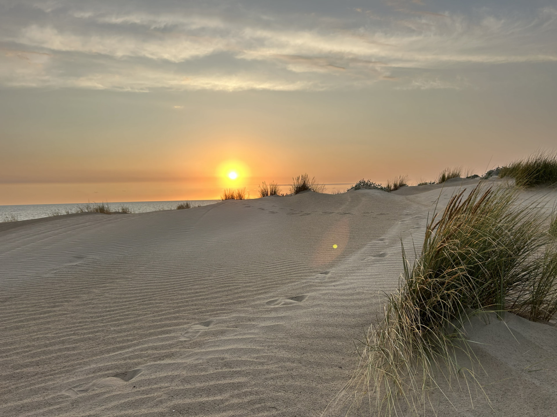 Dune et oyats au coucher du soleil à Saint-Trojan-les-Bains, Île d'Oléron